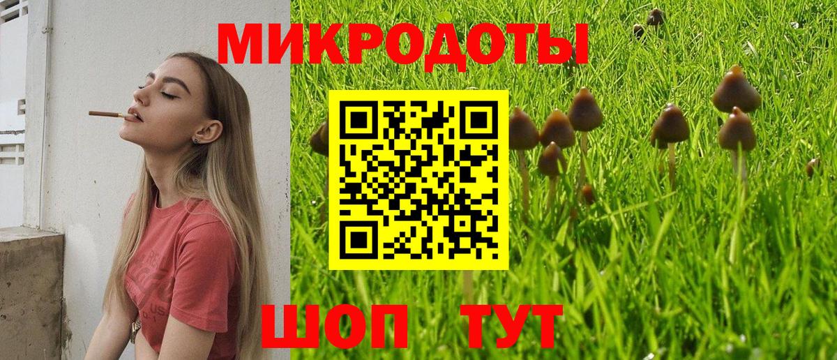 Псилоцибиновые грибы Psilocybine cubensis Саров